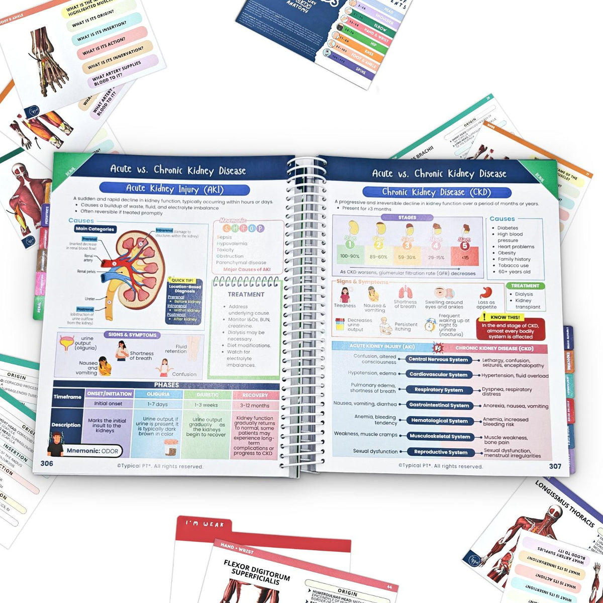 Physical Therapy Essentials Book - Typical PT