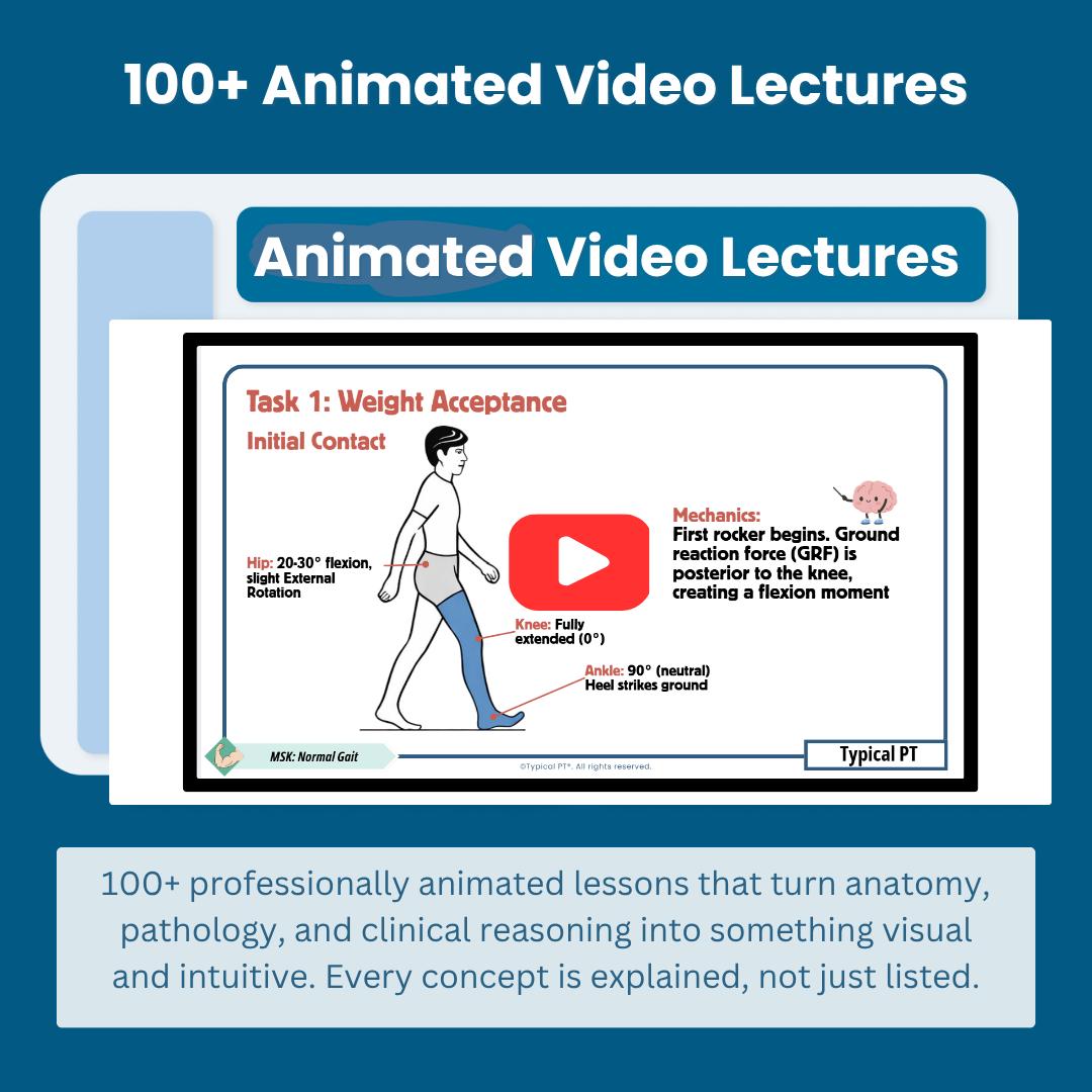 Comprehensive NPTE Study Material | Typical PT