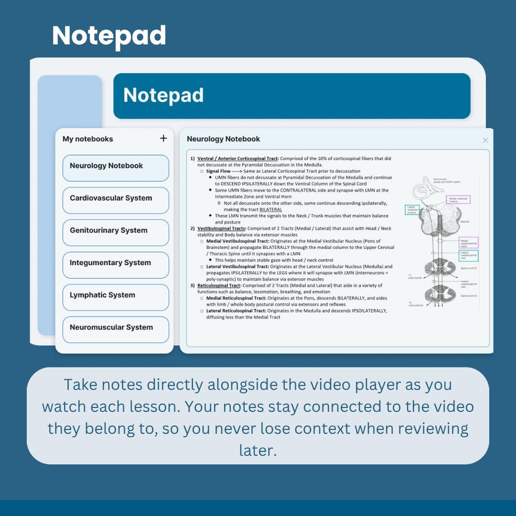 Npte Layout NPTE Explained | Animated Video Course for the PT Board Exam