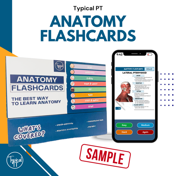 Free Anatomy Flashcards