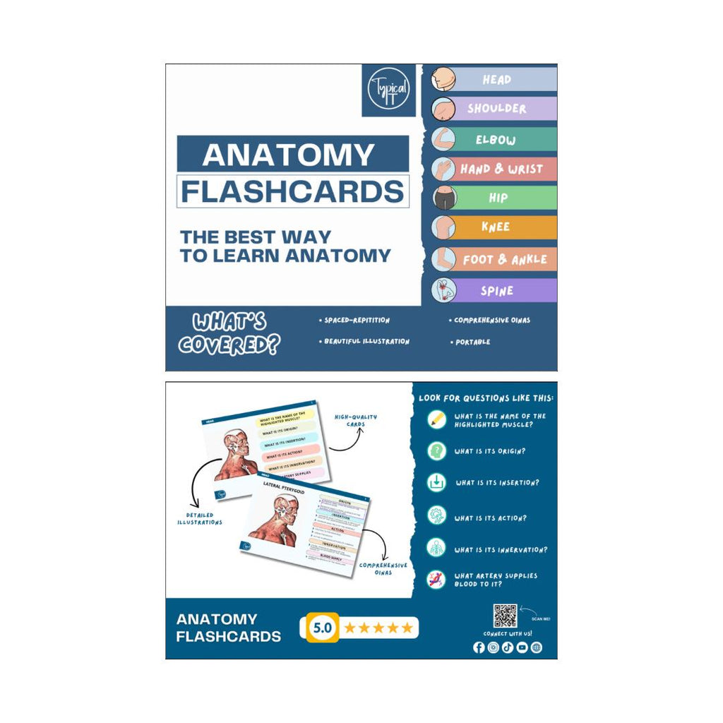 Anatomy Flashcards