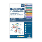 Anatomy Flashcards