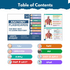 Anatomy Flashcards